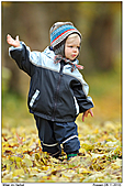 Milan - Milan im Herbst