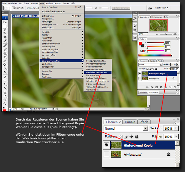 Hintergund weichzeichnen, Motiv freistellen Bildbearbeitung