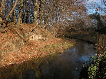 Der Eisvogelbach von Flarupgaard
