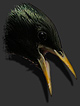 Mecker-Vogel