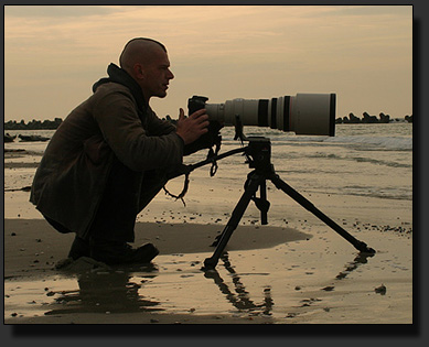 Stieglitz fotografiert mit Nikon Coolpix 8400 und Swarovski ST80HD