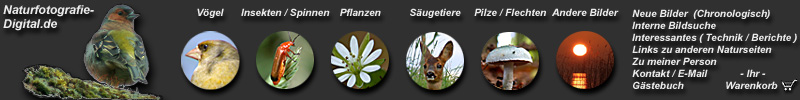 Hauptmenue