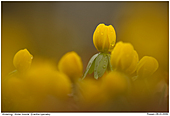 GR10/GRPWL080309-0029