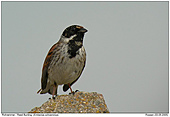 GR10/GRRA030505-0248