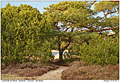 GR10/GRROE150311-9900