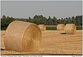 GR10/GRSTB070807-0026