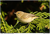 GR10/GRZZ160409-5707