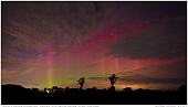 Polarlichter - Polarlichter bei Süderbrarup in Norddeutschland