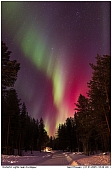 Polarlichter - Polarlichter in der N�he von Arvidsjaur