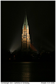 Schleswiger Dom - Schleswiger Dom
