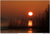 Sonnenuntergang - Sonnenuntergang an der Schlei